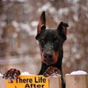 Meet your Posher, Linda